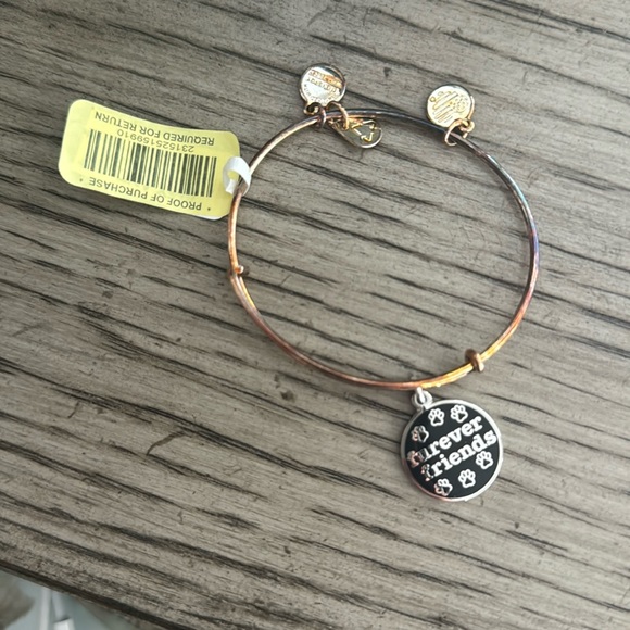 Alex and Ani Bracelet - Picture 1 of 1